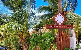 Mayan Mittoz